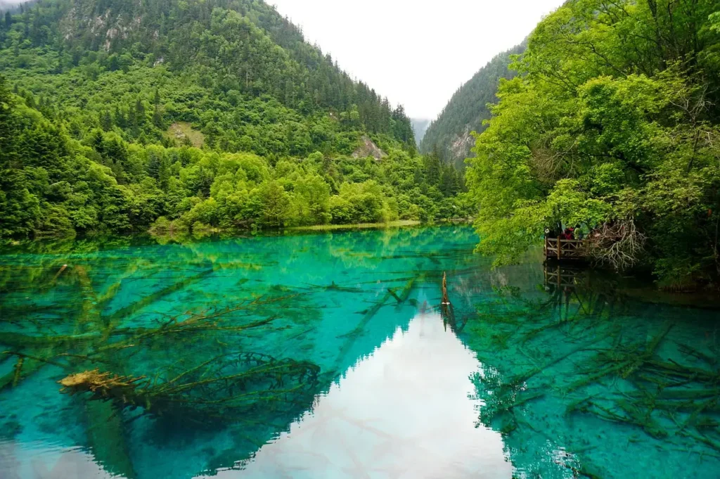Lac dans le parc national de Jiuzhaigou