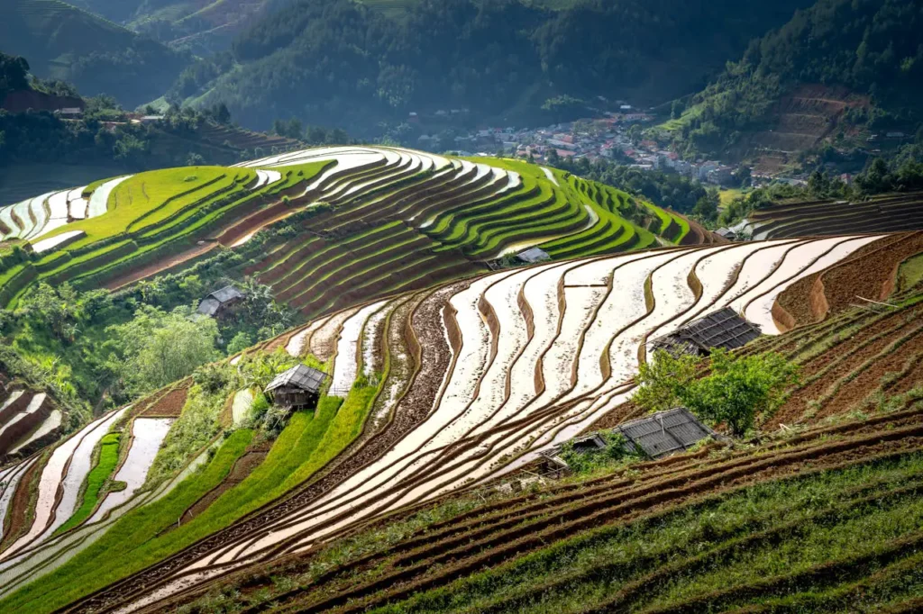 Les rizières en terrasses de Longji